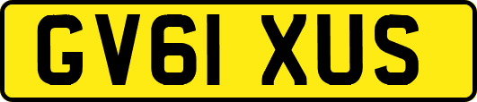 GV61XUS