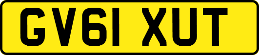 GV61XUT