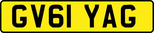 GV61YAG