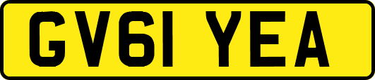 GV61YEA