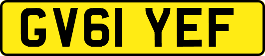 GV61YEF