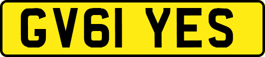 GV61YES