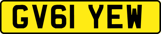 GV61YEW