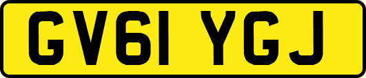 GV61YGJ