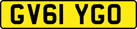 GV61YGO
