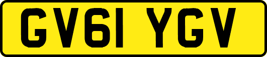 GV61YGV