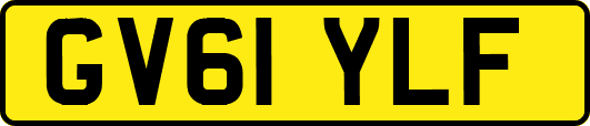 GV61YLF