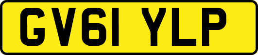 GV61YLP