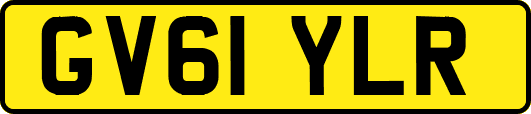 GV61YLR