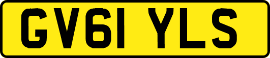 GV61YLS