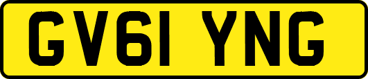 GV61YNG