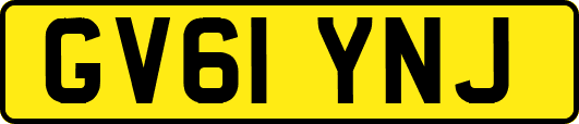 GV61YNJ