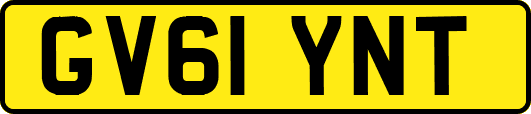 GV61YNT