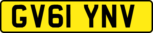 GV61YNV