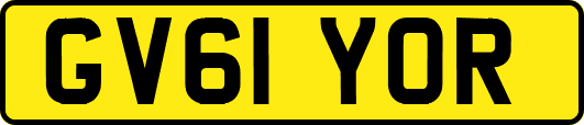 GV61YOR