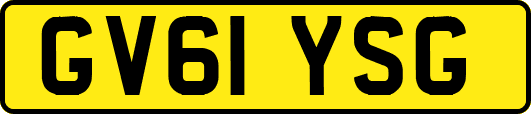 GV61YSG