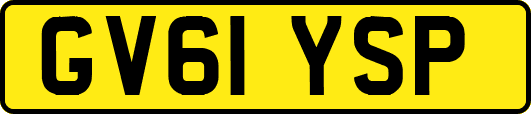 GV61YSP