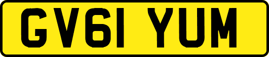 GV61YUM