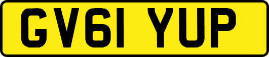 GV61YUP
