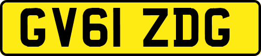 GV61ZDG