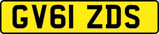 GV61ZDS