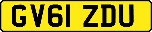 GV61ZDU