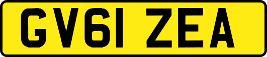 GV61ZEA