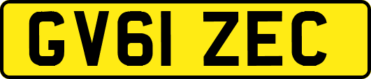 GV61ZEC