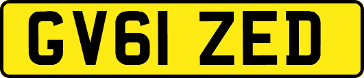 GV61ZED