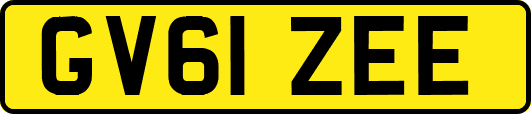GV61ZEE