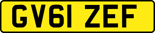GV61ZEF