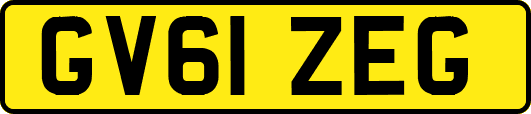 GV61ZEG