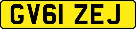 GV61ZEJ