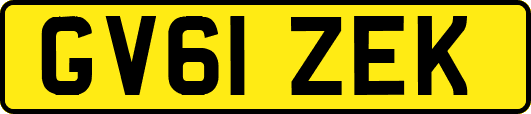 GV61ZEK