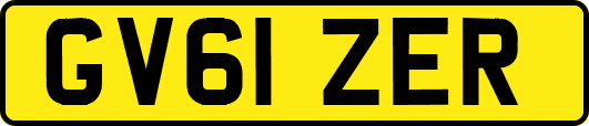 GV61ZER