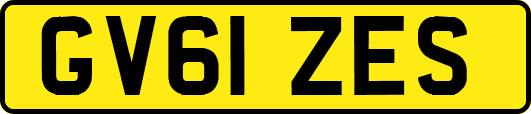 GV61ZES