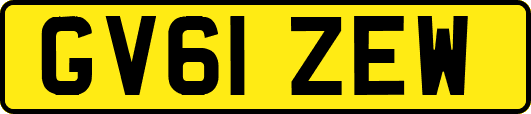 GV61ZEW