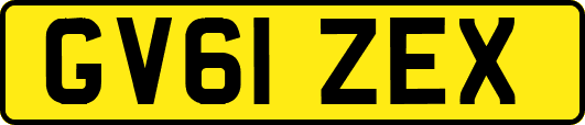 GV61ZEX