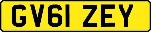 GV61ZEY