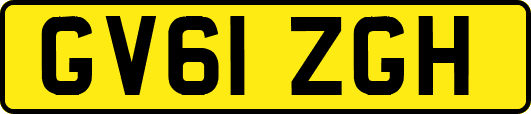GV61ZGH