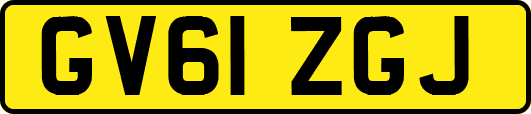GV61ZGJ