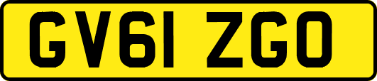 GV61ZGO