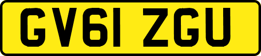 GV61ZGU