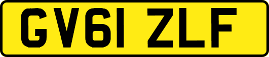 GV61ZLF