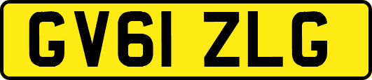GV61ZLG