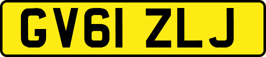 GV61ZLJ