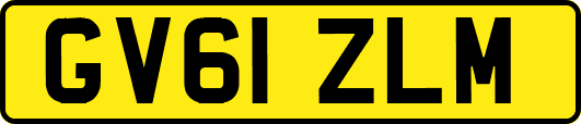 GV61ZLM