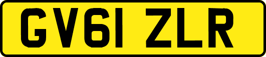GV61ZLR