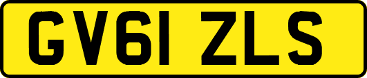 GV61ZLS