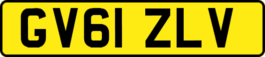 GV61ZLV